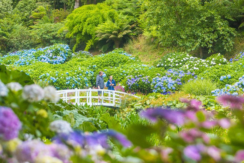 Trebah Garden , United Kingdom